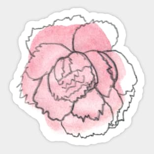 Pink Carnation Solo 2 Sticker